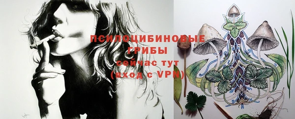 дживик Осинники