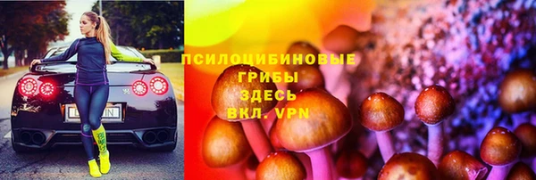 спиды Осташков