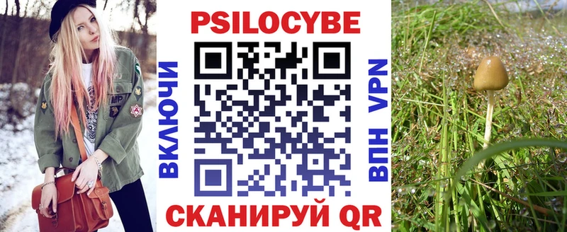 Псилоцибиновые грибы MAGIC MUSHROOMS Курлово