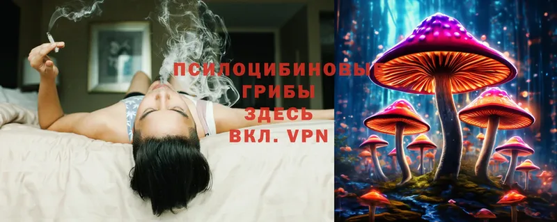 Галлюциногенные грибы GOLDEN TEACHER Курлово